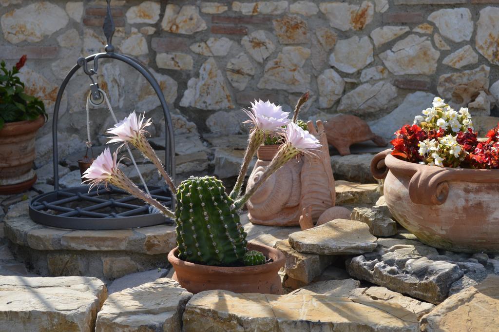 B&B La Casa Fra Gli Olivi Marsciano Ngoại thất bức ảnh